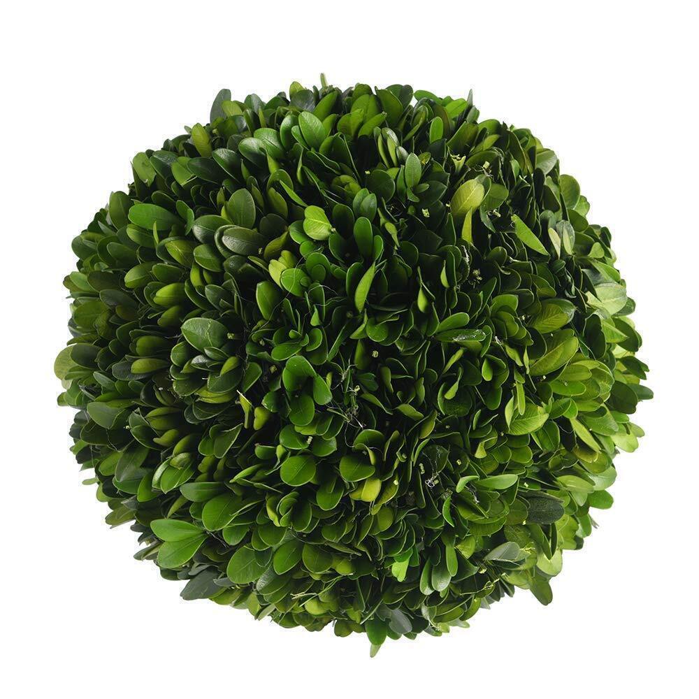 2685 Boxwood Topiary Ball 5 inches Preserved Boxwood Decorative Balls